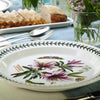 Portmeirion Botanic Garden Dinner Plate Assorted 26.5cm | Minimax