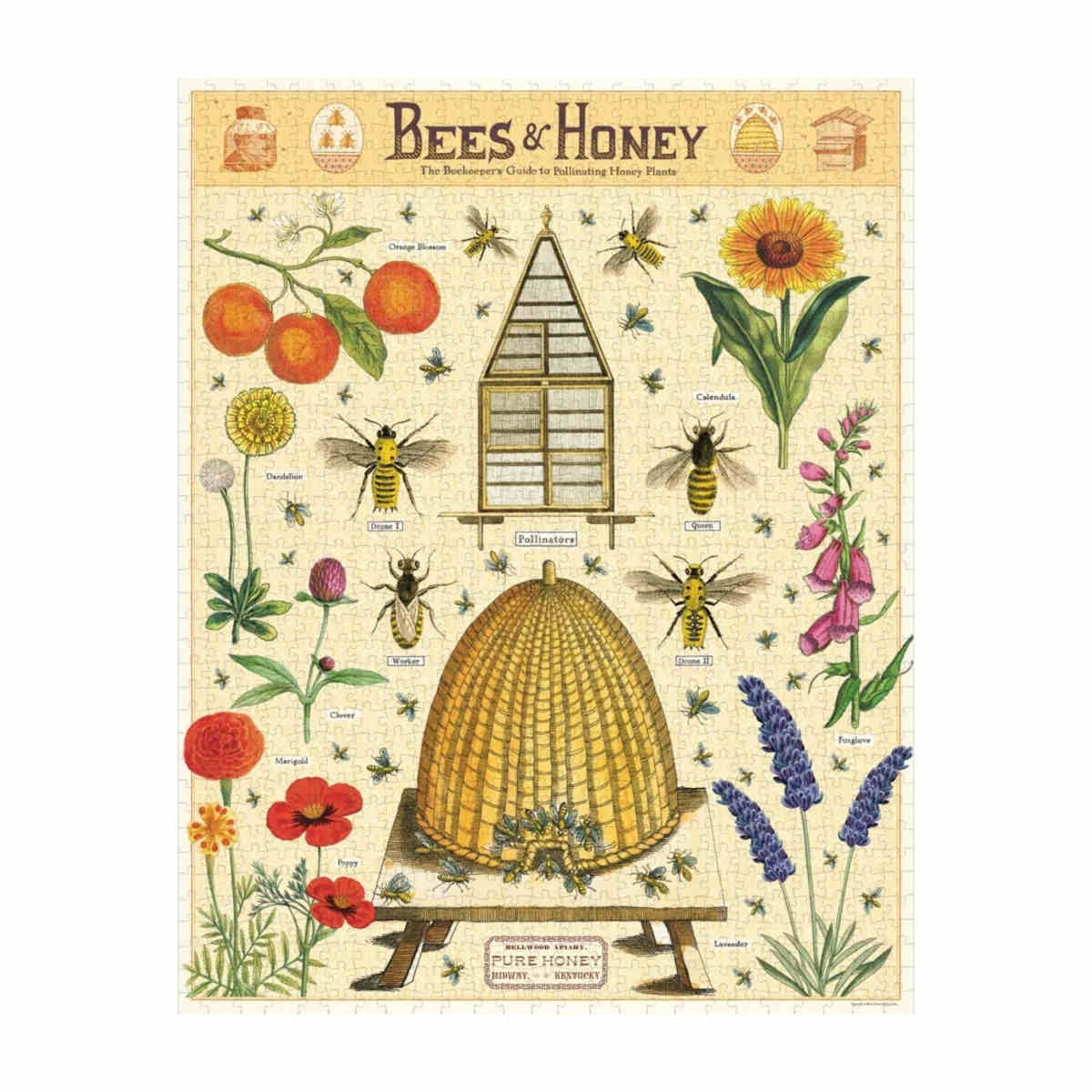Cavallini and Co. 1000 Piece Bees & Honey Jigsaw Puzzle | Minimax