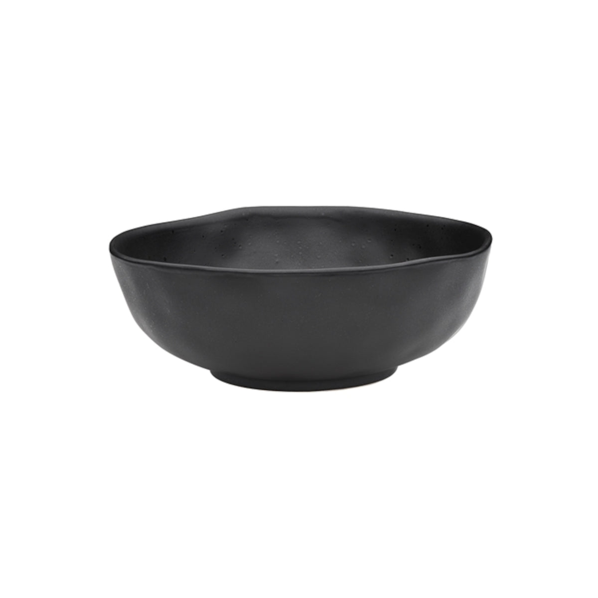 Ecology Speckle Dinner Set Ebony 12 Piece | Minimax