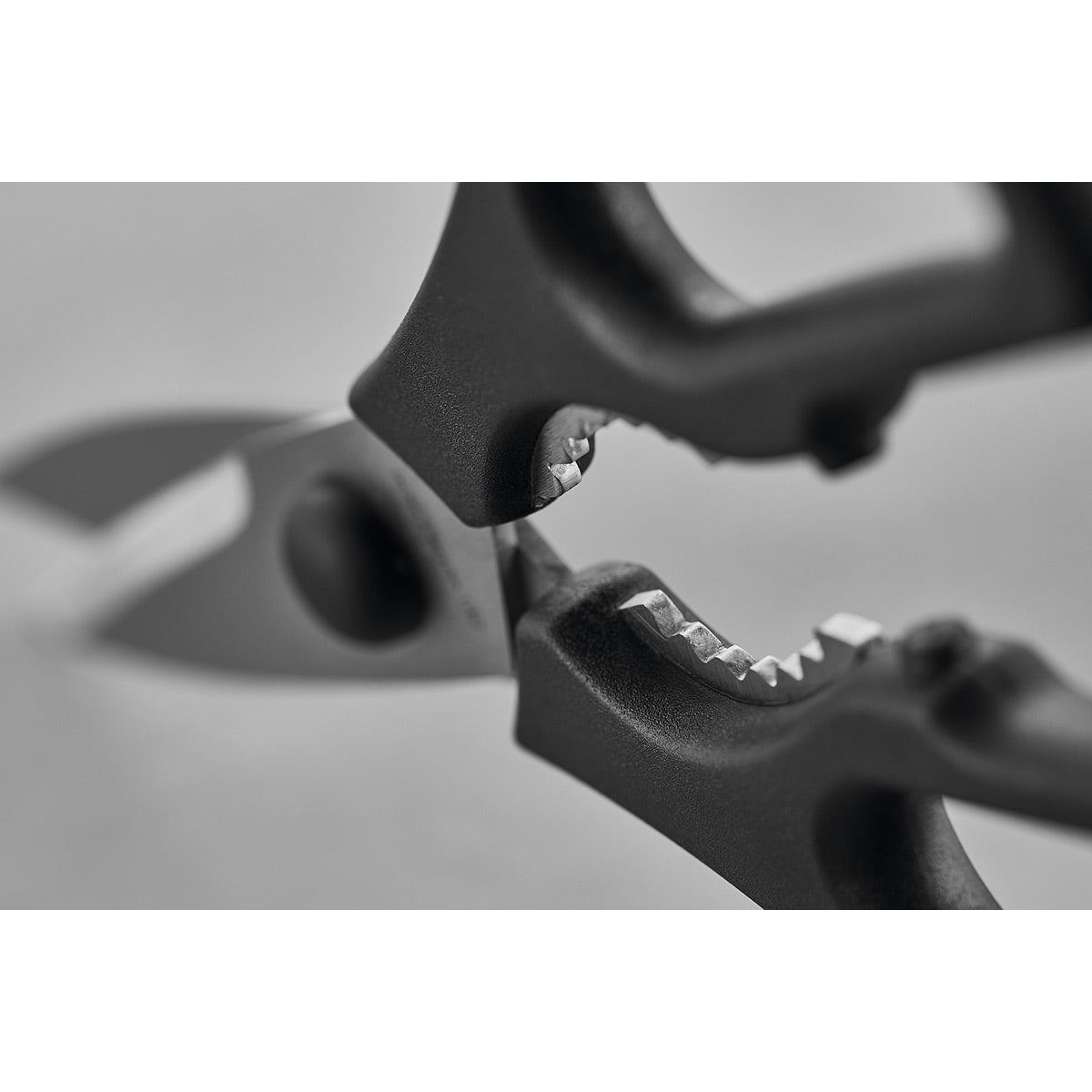 Wusthof Pull-Apart Shears | Minimax
