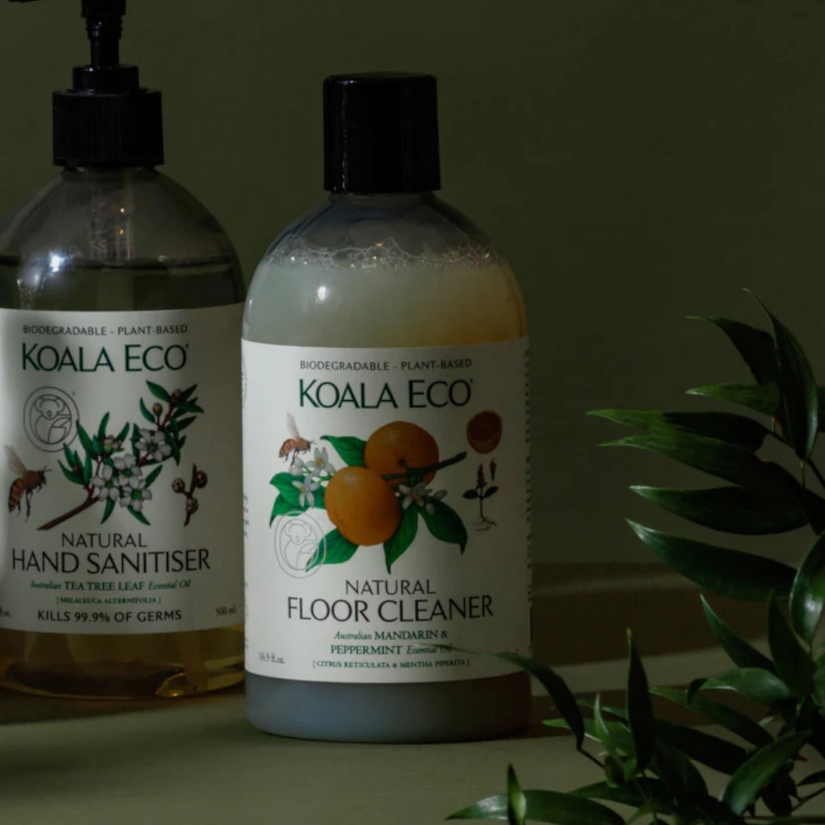 Koala Eco Floor Cleaner Mandarin & Peppermint 500ml | Minimax