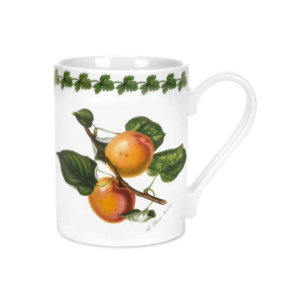 Portmeirion Pomona Coffee Mug Assorted 280ml | Minimax