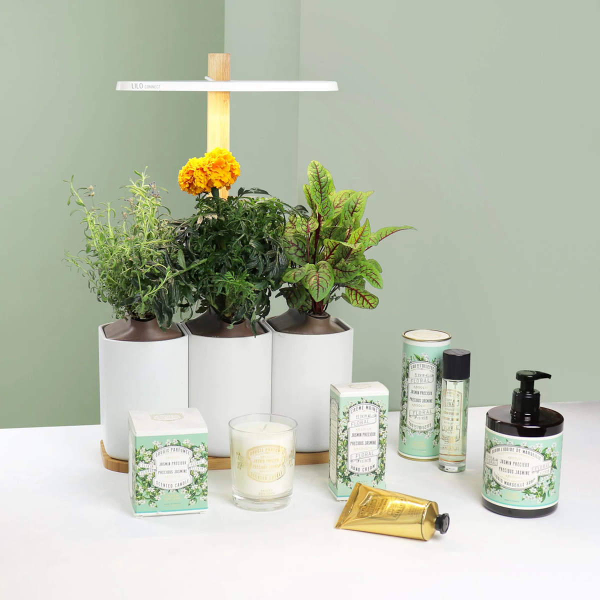 Panier Des Sens Jasmine Marseille Liquid Soap 500ml | Minimax