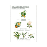 Panier Des Sens Orange Blossom Hand Cream 30ml | Minimax
