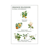 Panier Des Sens Orange Blossom Hand Cream 30ml | Minimax