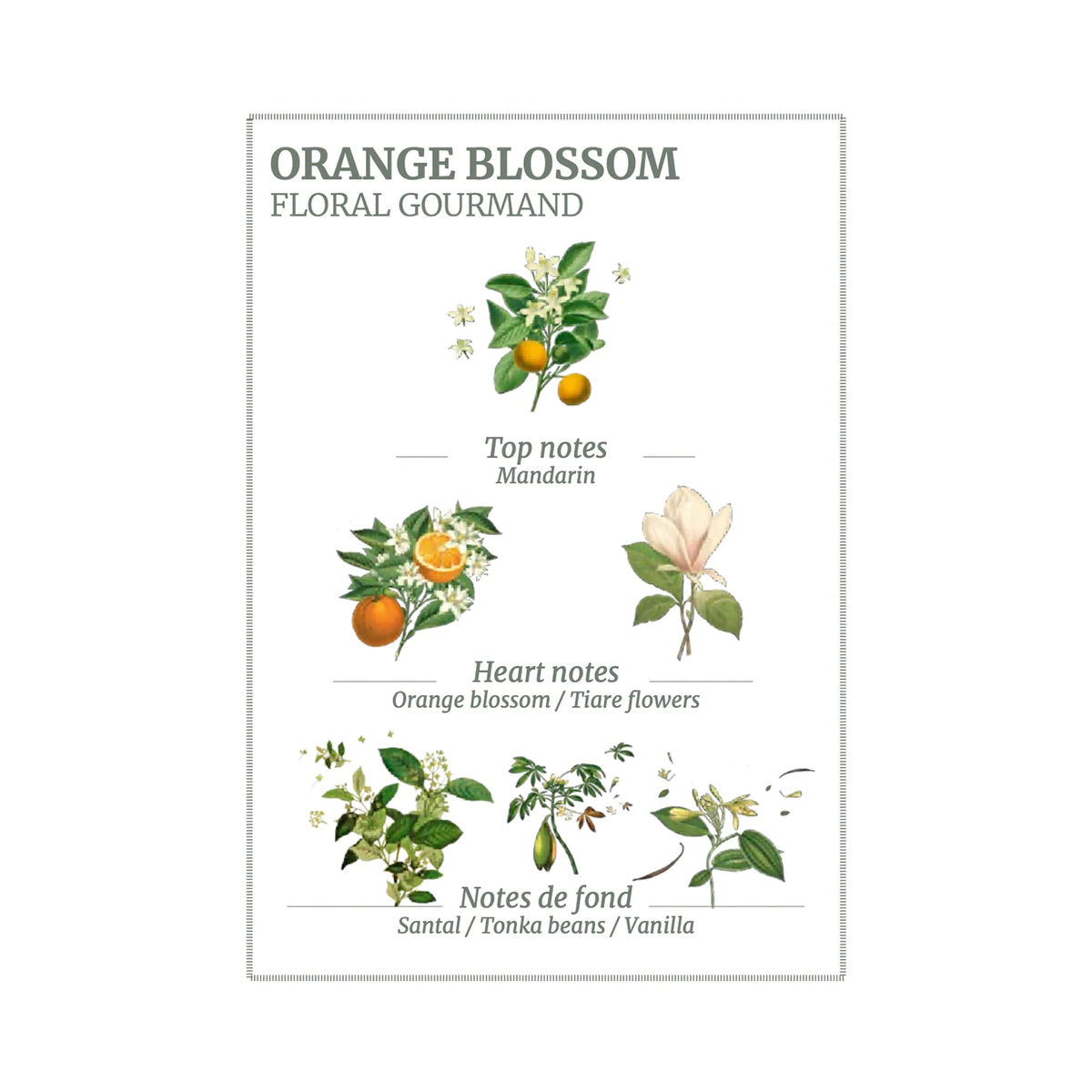 Panier Des Sens Orange Blossom Soap 150g | Minimax