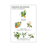 Panier Des Sens Orange Blossom Soap 150g | Minimax