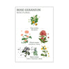 Panier Des Sens Rose Geranium Hand Cream 75ml | Minimax