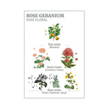 Panier Des Sens Rose Geranium Marseille Liquid Soap 500ml | Minimax