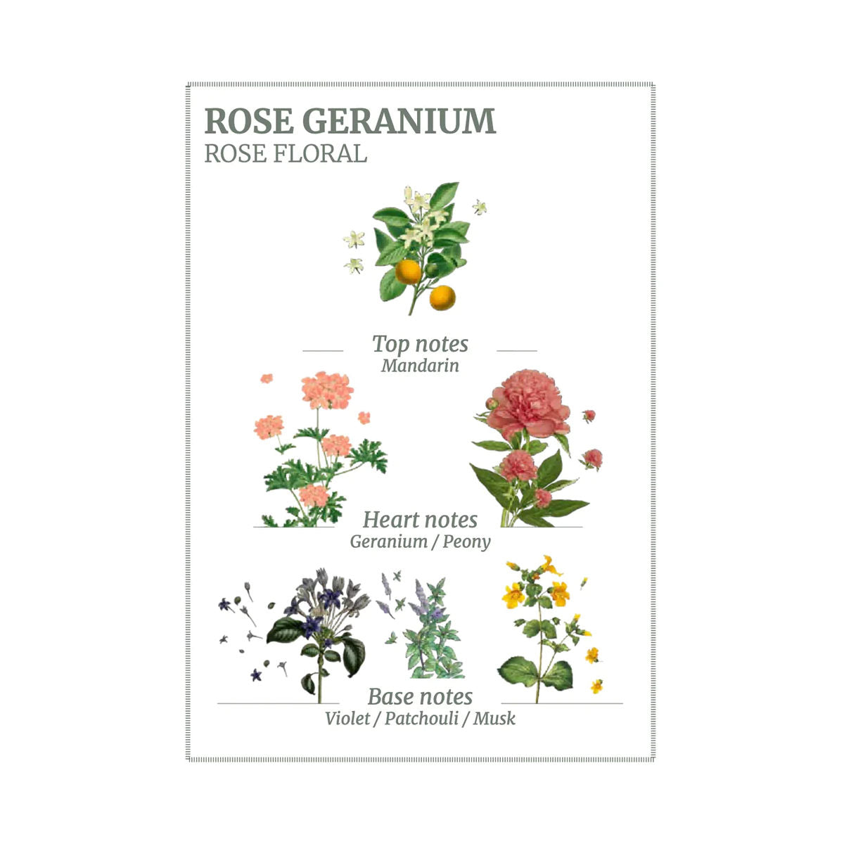 Panier Des Sens Rose Geranium Soap 150g | Minimax