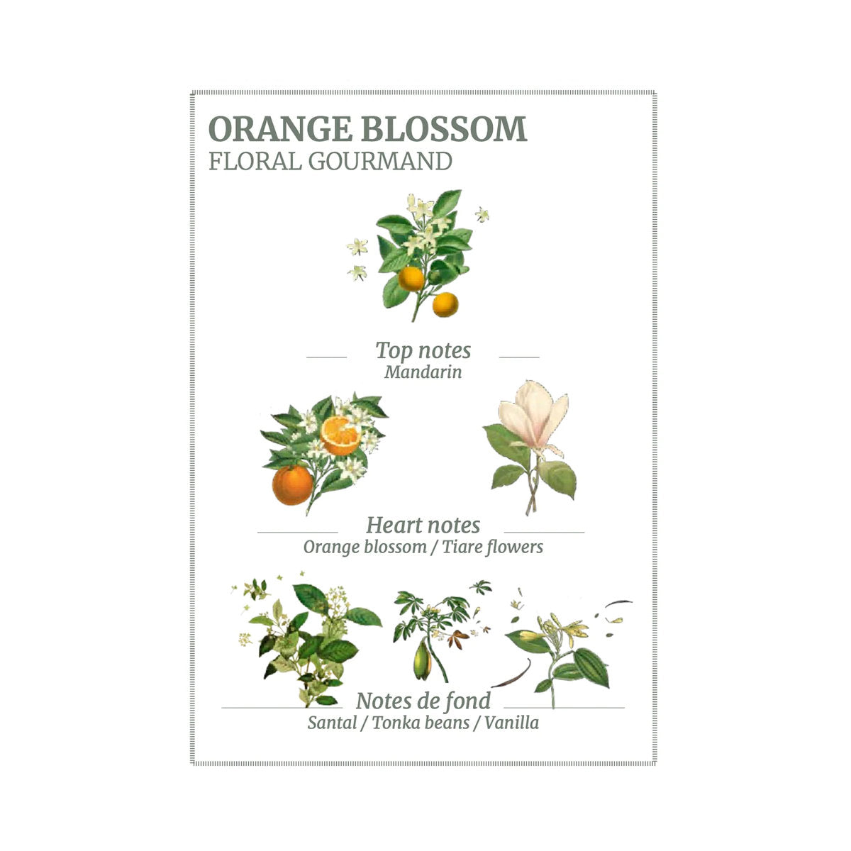 Panier des Sens Orange Blossom Marseille Liquid Soap 500ml | Minimax
