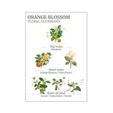 Panier des Sens Orange Blossom Marseille Liquid Soap 500ml | Minimax