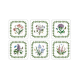 Pimpernel Botanic Garden Coasters Set of 6 | Minimax