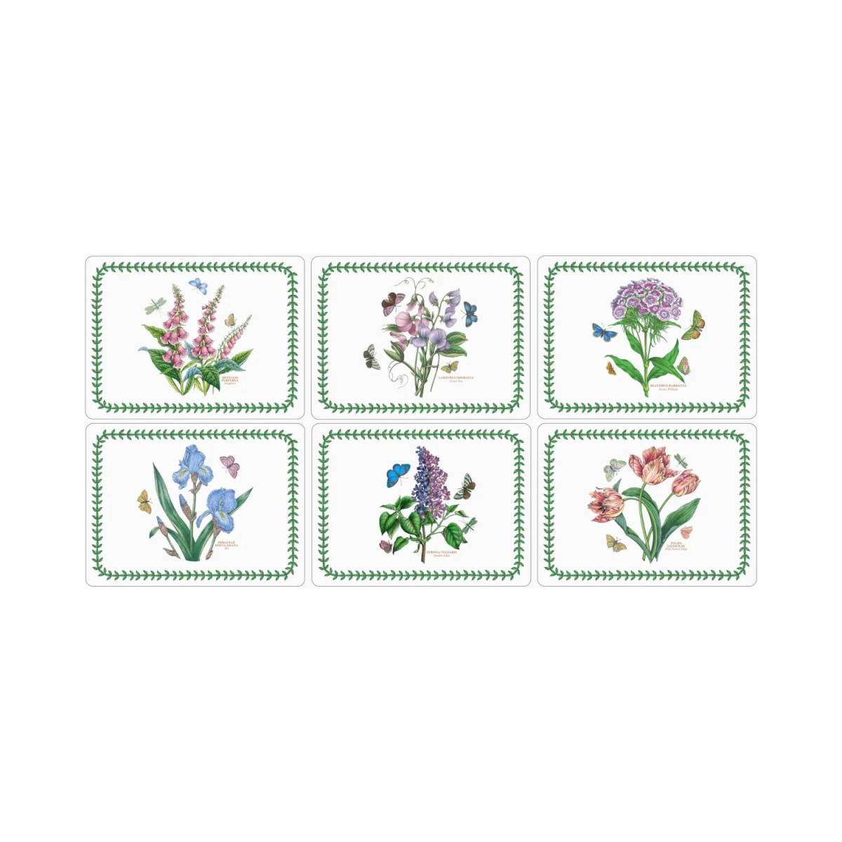 Pimpernel Botanic Garden Placemats Set of 6 | Minimax