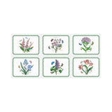 Pimpernel Botanic Garden Placemats Set of 6 | Minimax