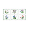 Pimpernel Botanic Garden Placemats Set of 6 | Minimax