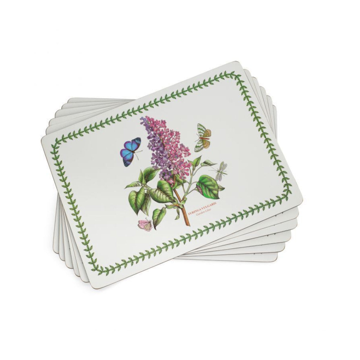 Pimpernel Botanic Garden Placemats Set of 6 | Minimax