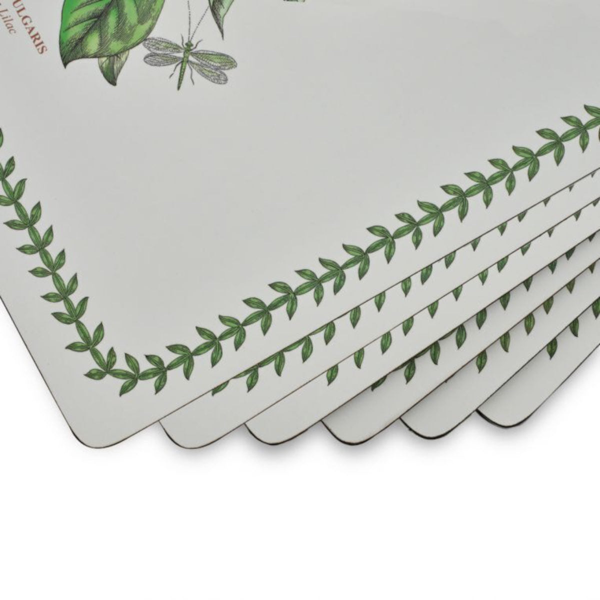 Pimpernel Botanic Garden Placemats Set of 6 | Minimax