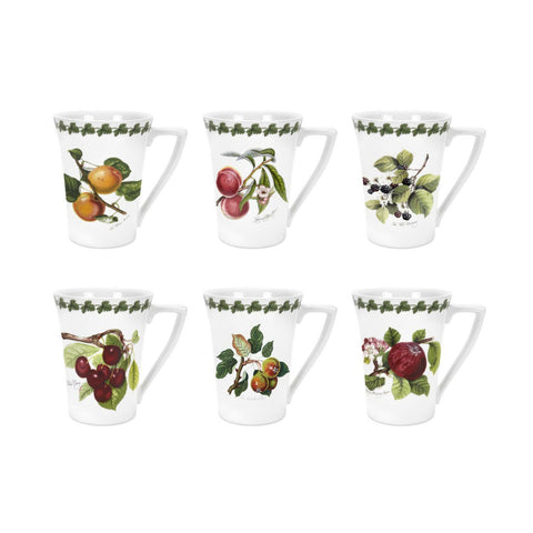 Designer Coffee & Tea Mugs