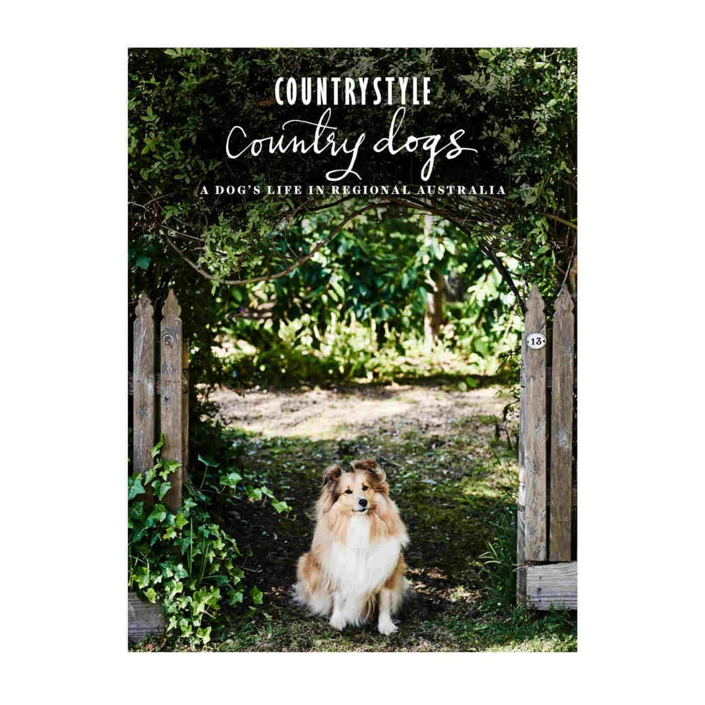 Country Dogs - Minimax