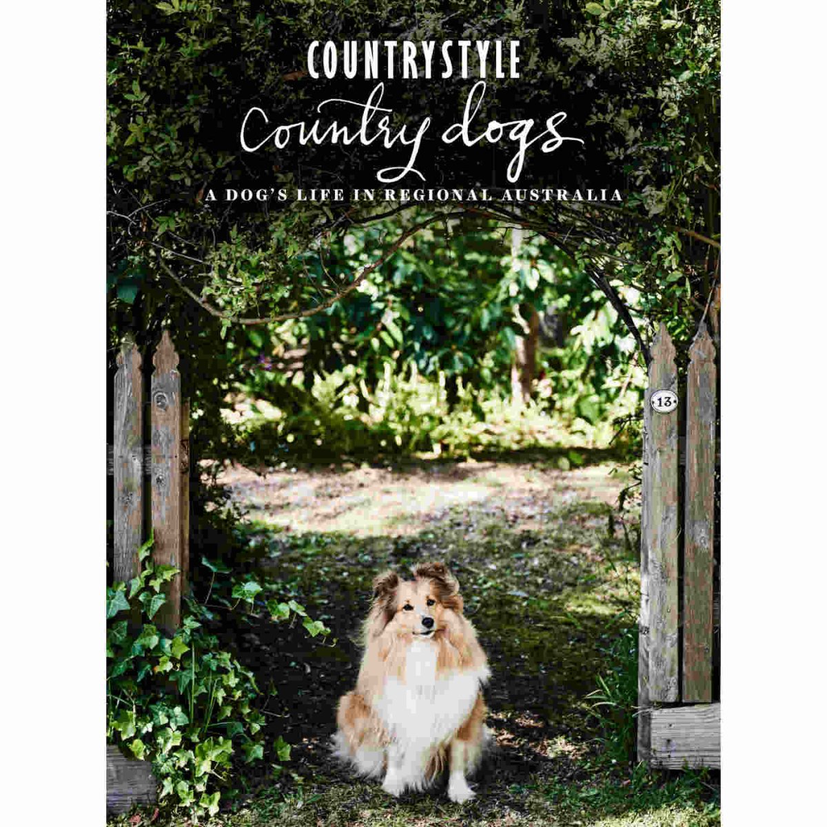 Country Dogs - Minimax