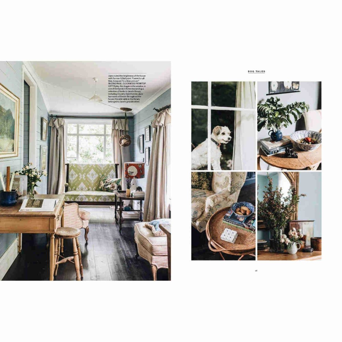 Country Dogs - Minimax