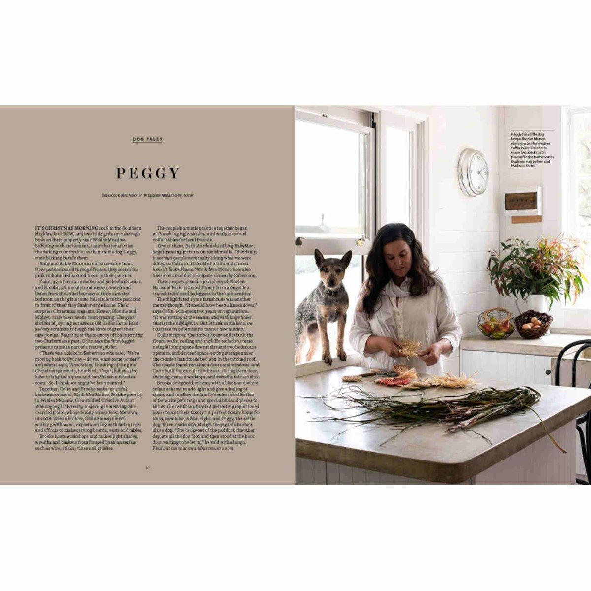 Country Dogs - Minimax