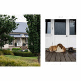 Country Dogs - Minimax