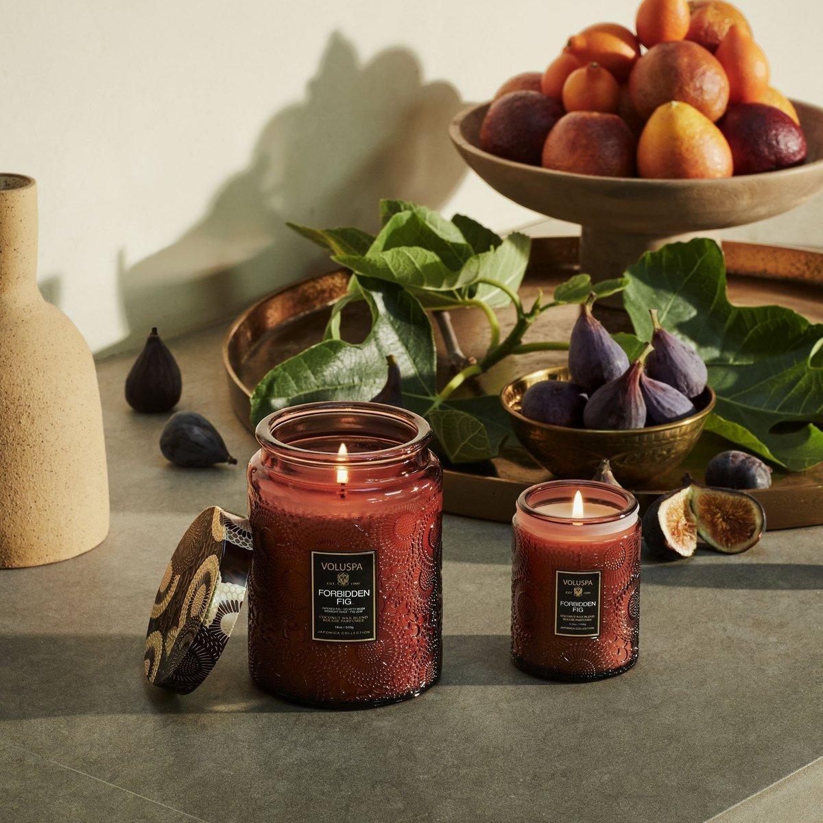 Forbidden Fig 100 Hour Candle - Minimax