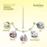 Taper Ivory 24.5cm Candle - Minimax