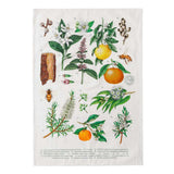 Koala Eco Terra Botanica Linen Tea Towel | Minimax