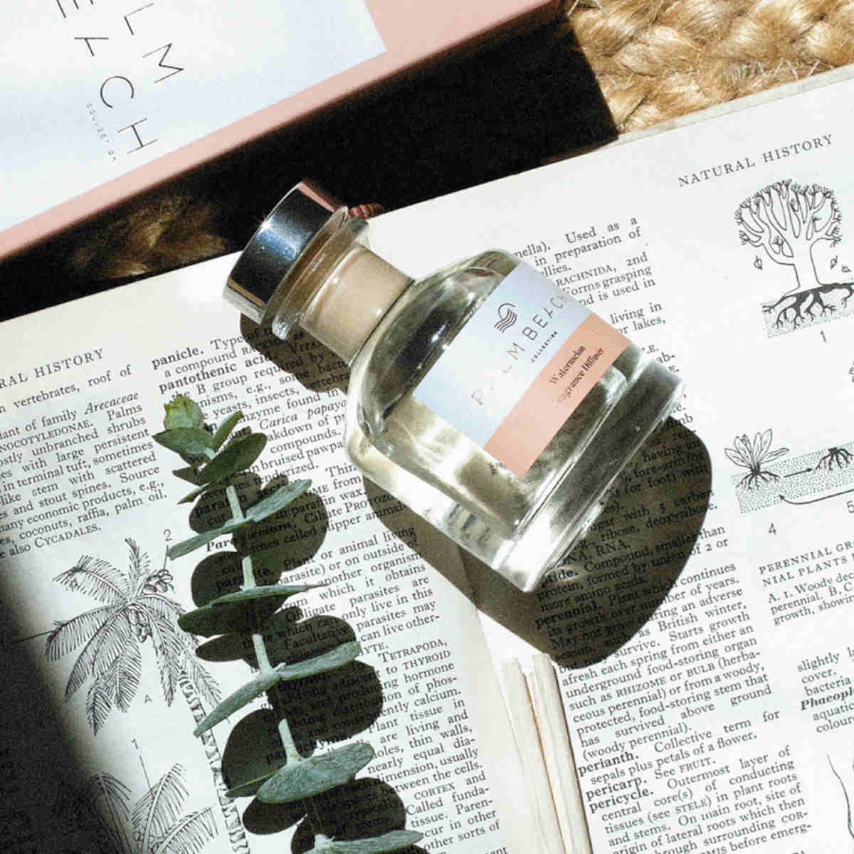 Watermelon Mini Diffuser 50ml - Minimax